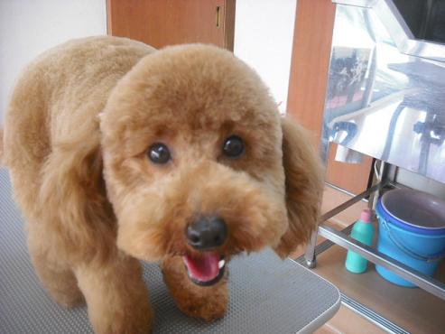 ファイル 3016-1.jpg