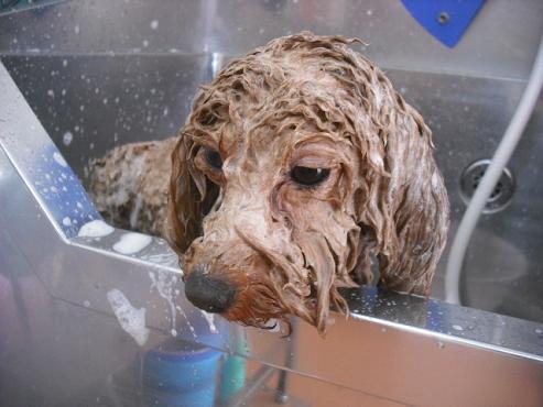 ファイル 3016-2.jpg