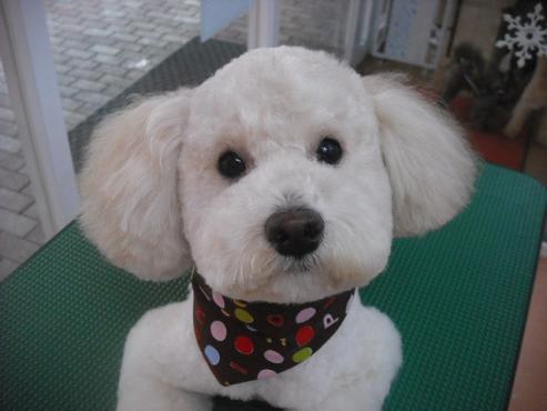 ファイル 3017-1.jpg