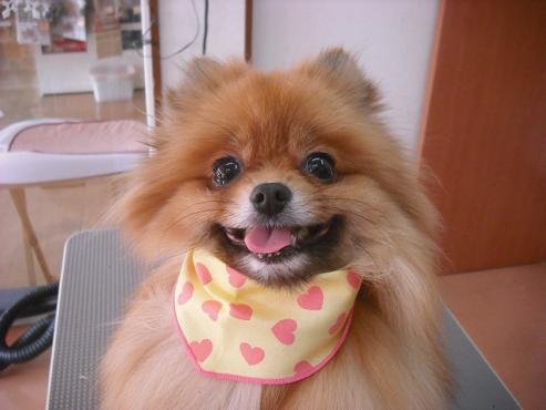 ファイル 3018-1.jpg