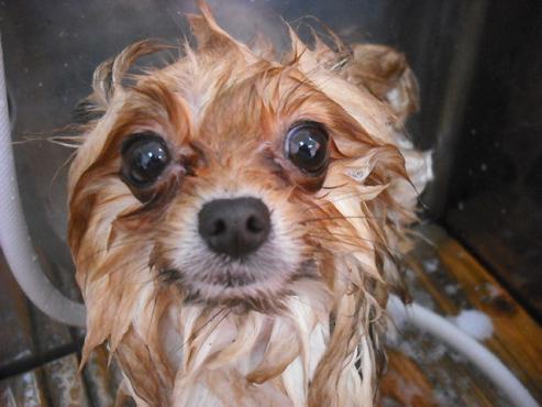 ファイル 3018-2.jpg