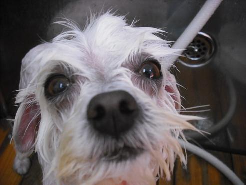 ファイル 3019-2.jpg