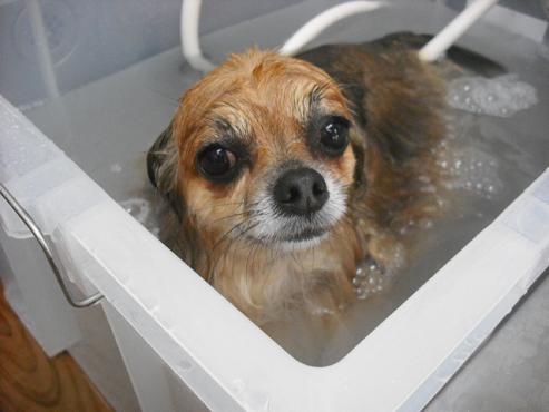 ファイル 302-2.jpg