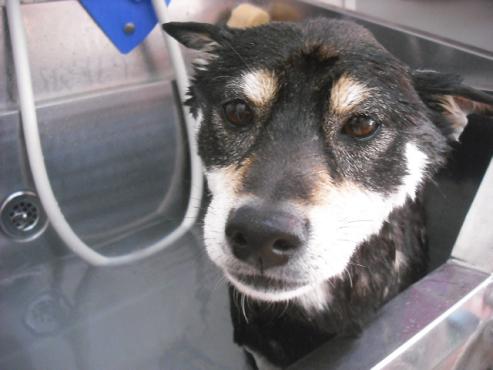 ファイル 3020-2.jpg