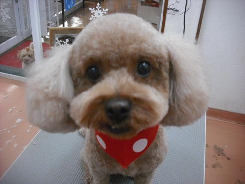 ファイル 3021-1.jpg