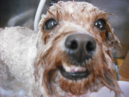 ファイル 3021-2.jpg