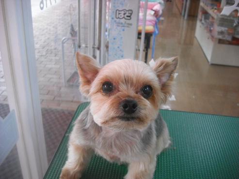 ファイル 3022-1.jpg