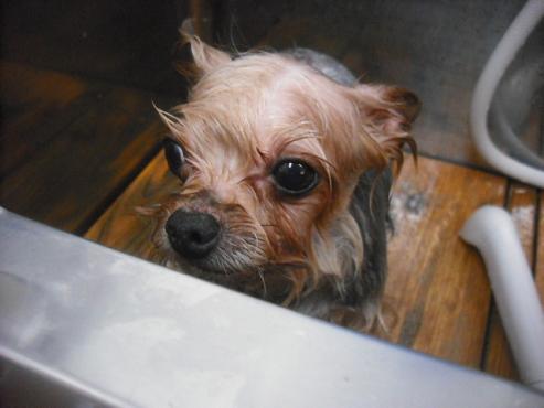 ファイル 3022-2.jpg