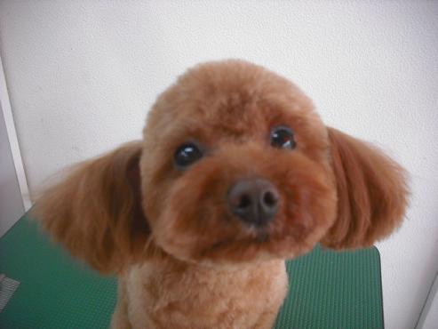 ファイル 3023-1.jpg