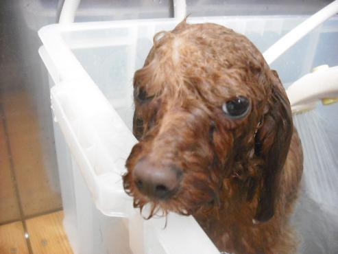 ファイル 3023-2.jpg