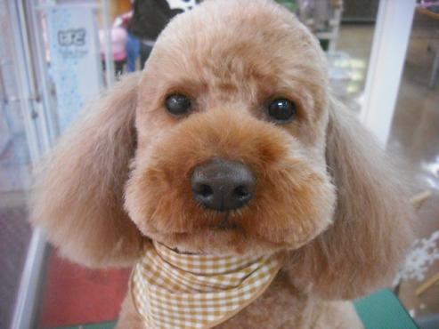 ファイル 3024-1.jpg