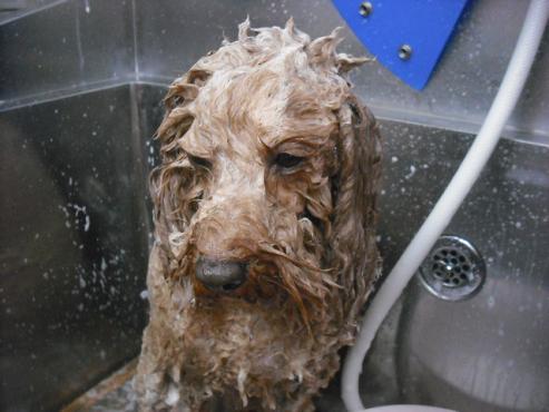 ファイル 3024-2.jpg