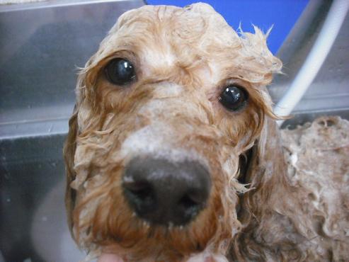 ファイル 3025-2.jpg