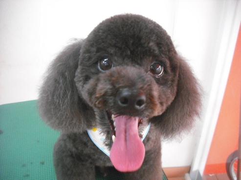 ファイル 3026-1.jpg