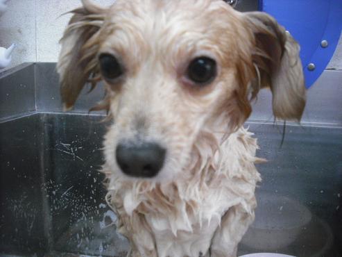 ファイル 3028-2.jpg