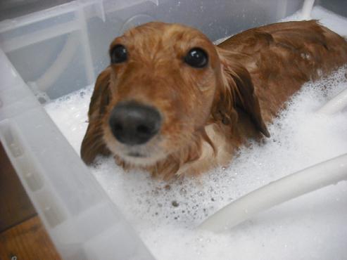 ファイル 3029-2.jpg