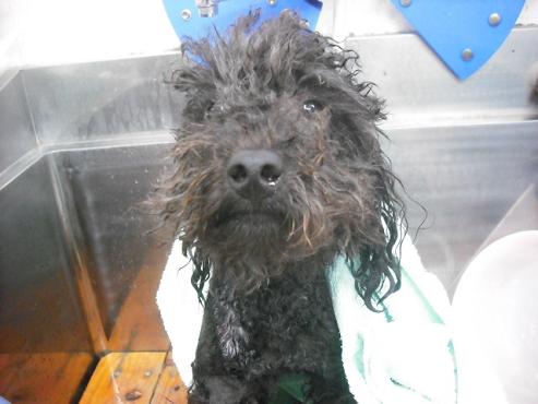 ファイル 303-2.jpg