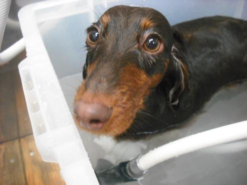 ファイル 3030-2.jpg