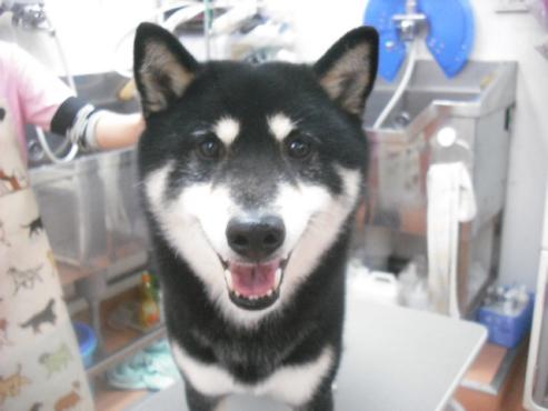 ファイル 3031-1.jpg