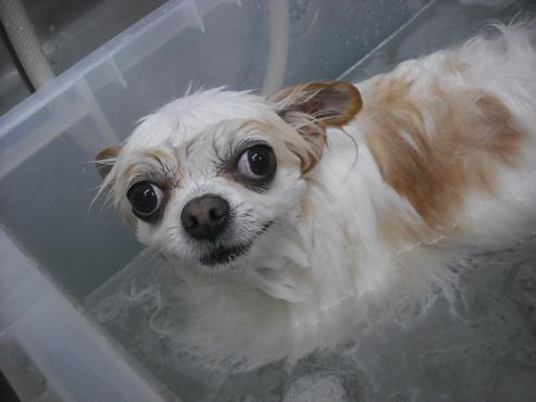 ファイル 3032-2.jpg