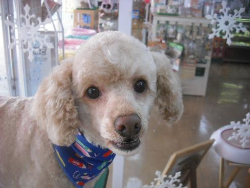 ファイル 3034-1.jpg