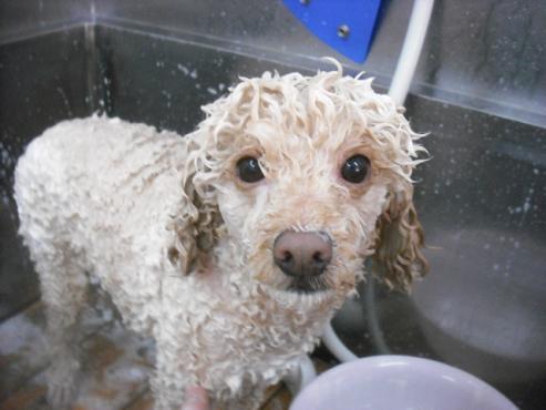 ファイル 3034-2.jpg