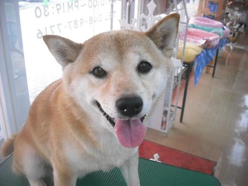 ファイル 3035-1.jpg