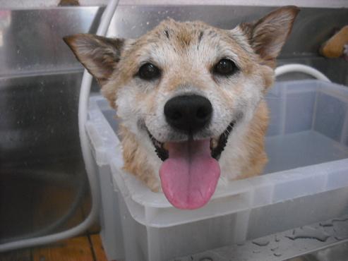 ファイル 3035-2.jpg