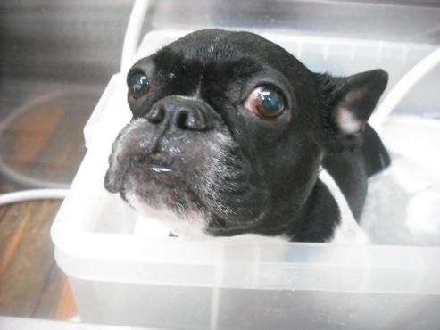 ファイル 3036-2.jpg