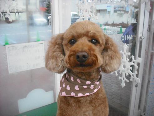 ファイル 3037-1.jpg