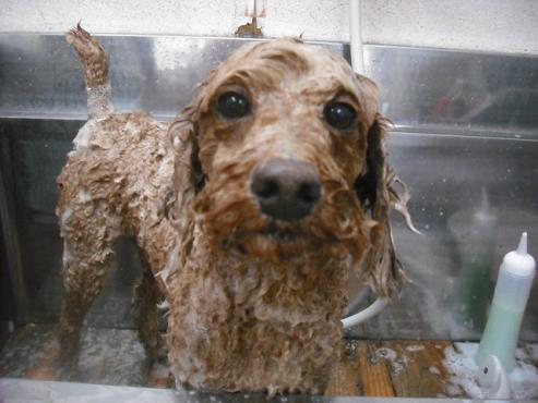 ファイル 3037-2.jpg