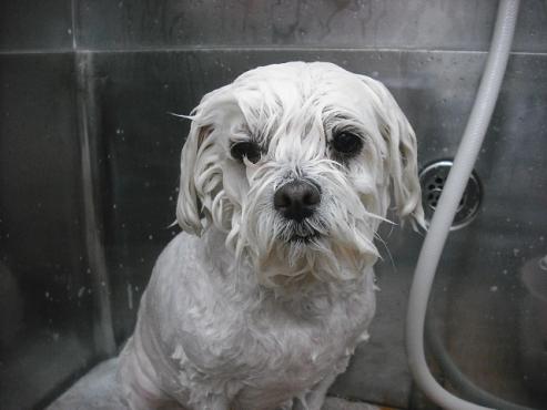 ファイル 3038-2.jpg