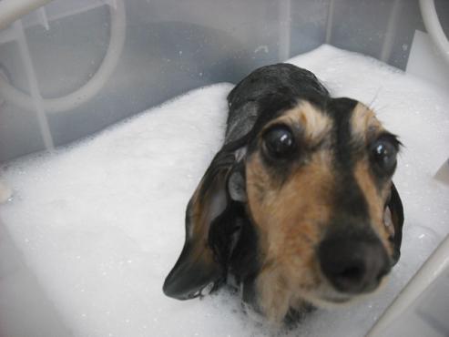 ファイル 3039-2.jpg