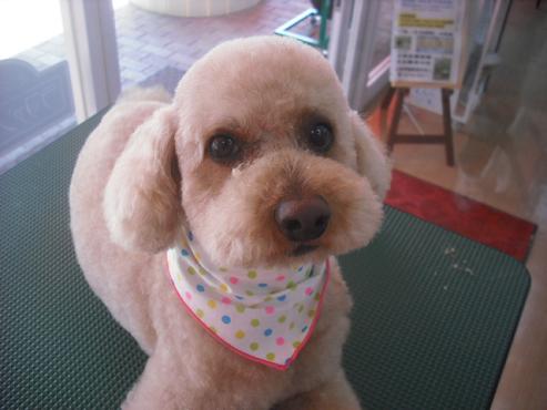 ファイル 304-1.jpg