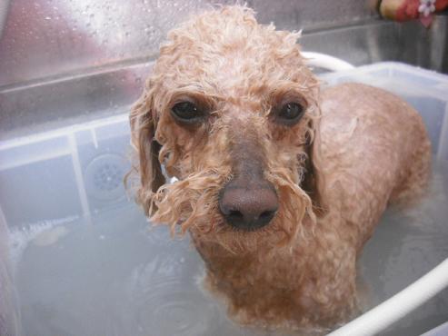 ファイル 304-2.jpg