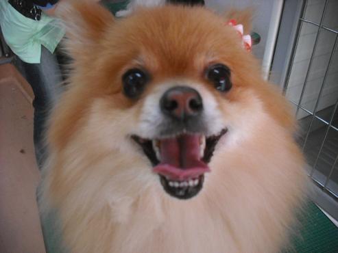 ファイル 3040-1.jpg