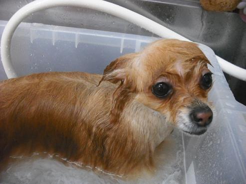 ファイル 3040-2.jpg