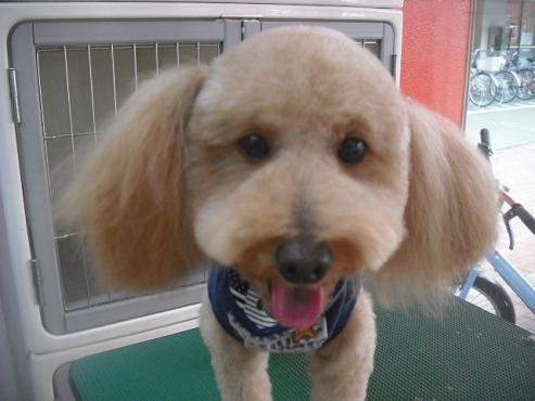 ファイル 3041-1.jpg