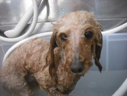 ファイル 3041-2.jpg