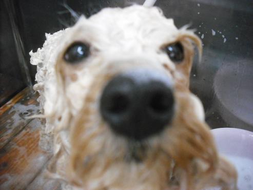 ファイル 3042-2.jpg