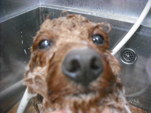 ファイル 3043-2.jpg