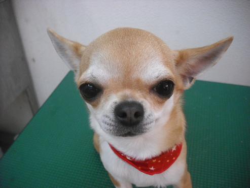 ファイル 3044-1.jpg