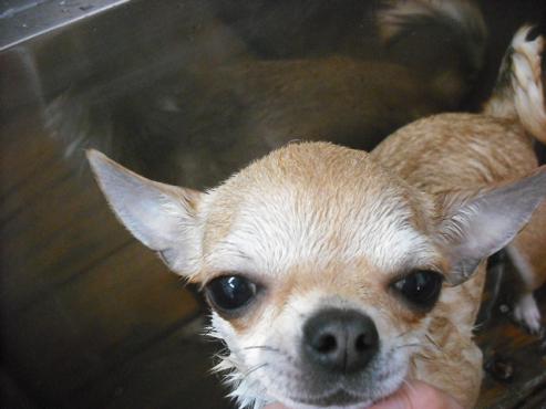 ファイル 3044-2.jpg