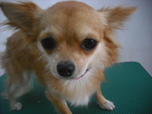 ファイル 3046-1.jpg