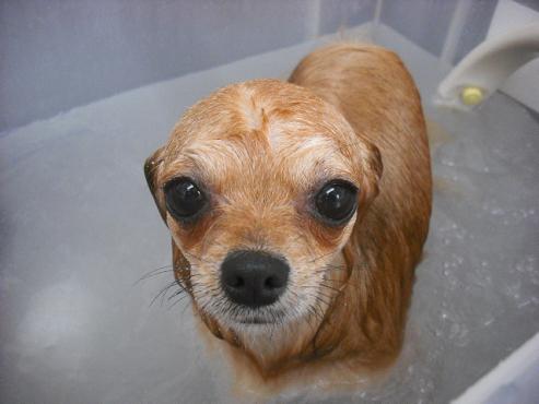 ファイル 3046-2.jpg