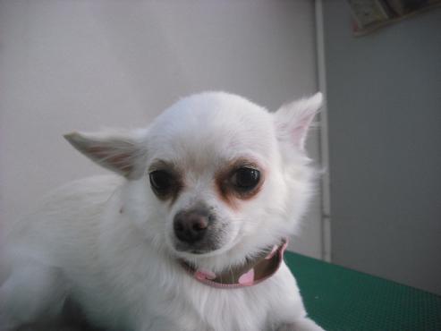 ファイル 3047-1.jpg