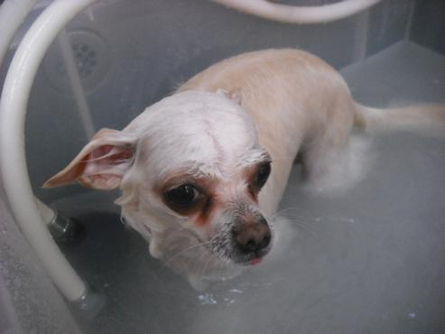 ファイル 3047-2.jpg