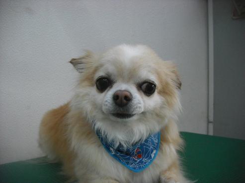 ファイル 3048-1.jpg