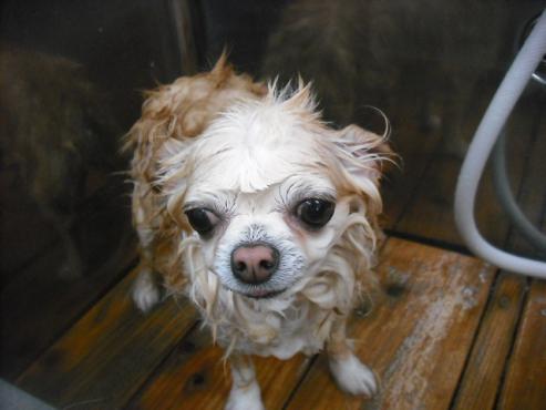 ファイル 3048-2.jpg