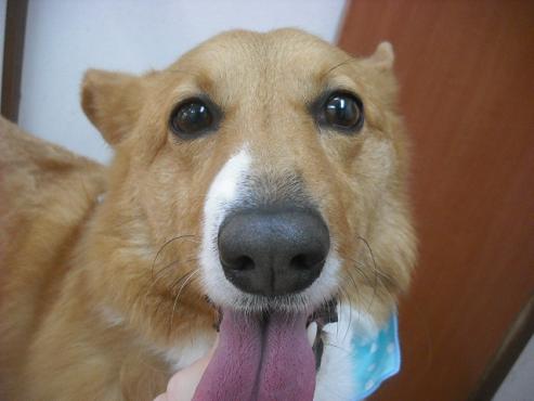 ファイル 3049-1.jpg